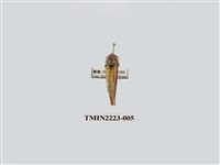 藏品(墨紛舟蛾)的圖片